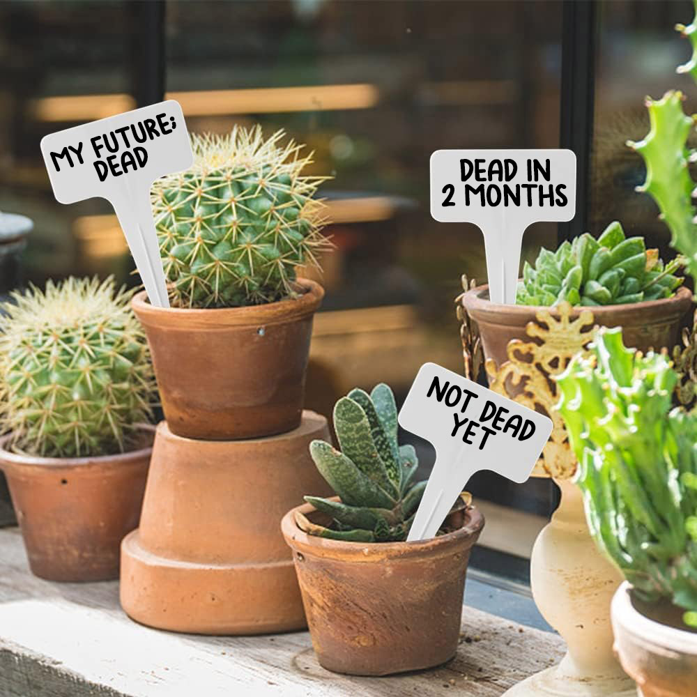 Custom Waterproof Plant Pot Signs (Set of 6) - Image 4